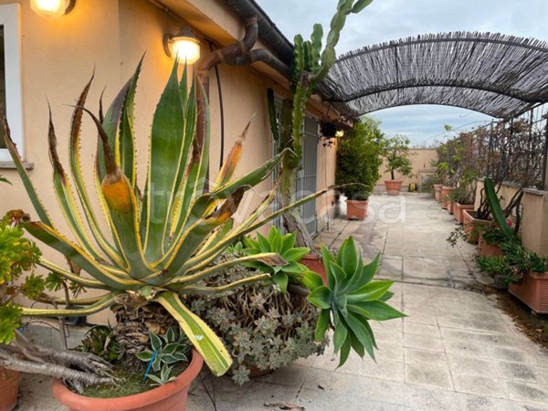 appartamento in affitto a Roma in zona Trastevere