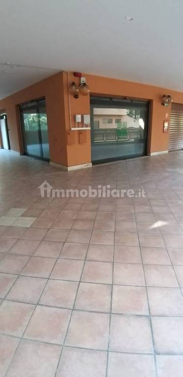 negozio in affitto a Roma in zona Torrevecchia