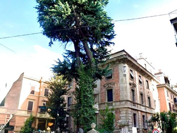 appartamento in affitto a Roma in zona Parioli