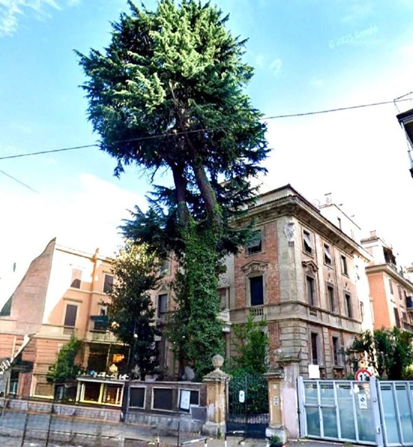 appartamento in affitto a Roma in zona Pinciano