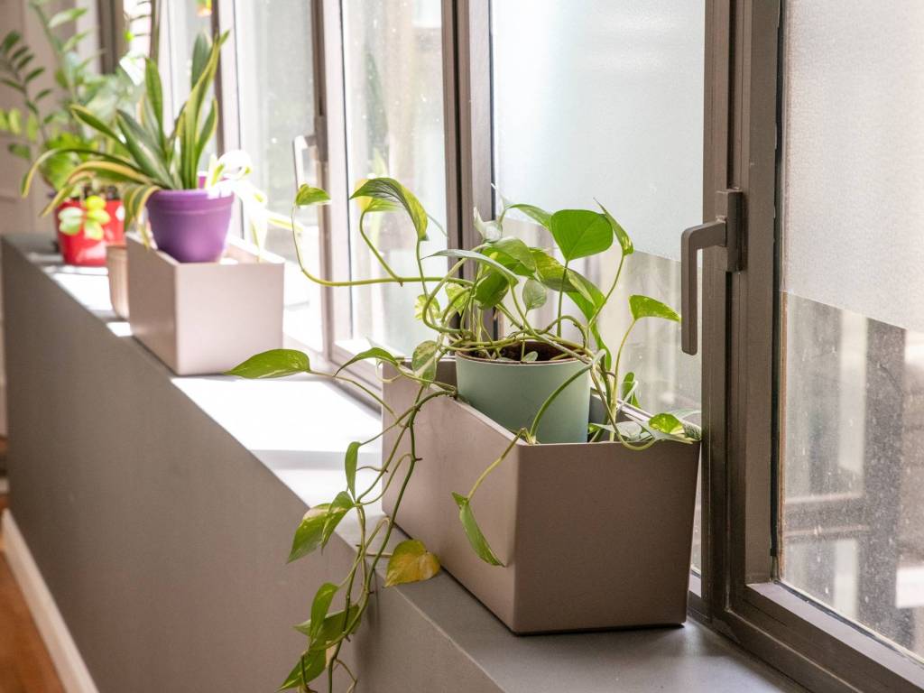 appartamento in affitto a Roma in zona Rione Regola