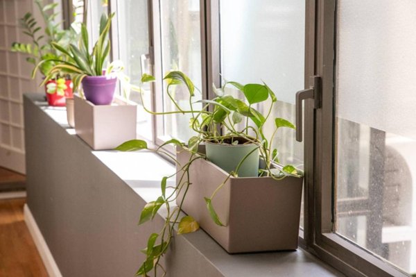 appartamento in affitto a Roma in zona Rione Regola