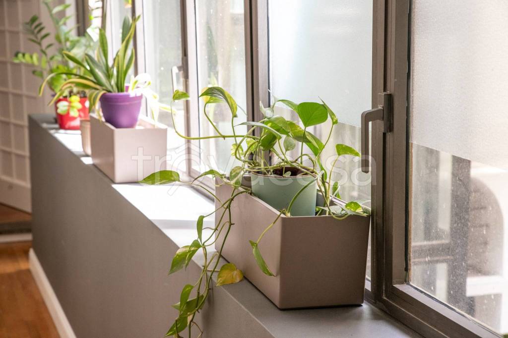 appartamento in affitto a Roma in zona Rione Regola