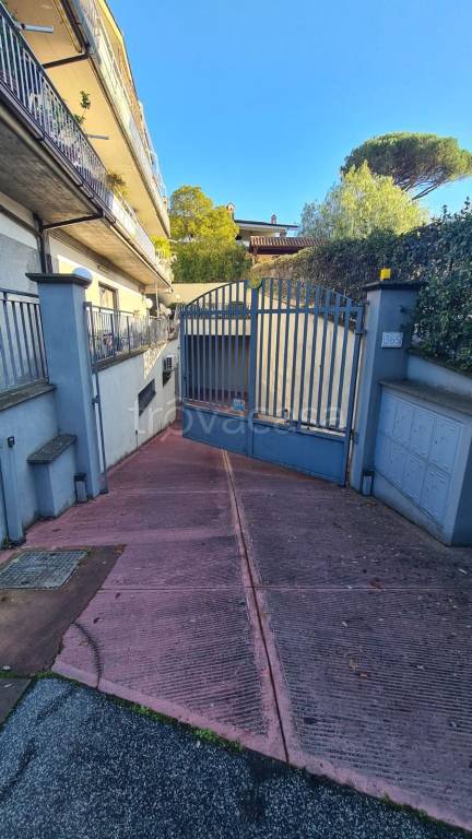 locale commerciale in affitto a Roma in zona Tor Vergata/Torrenova