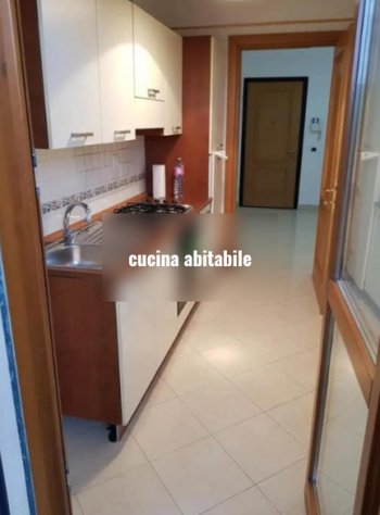 appartamento in affitto a Roma in zona Trionfale