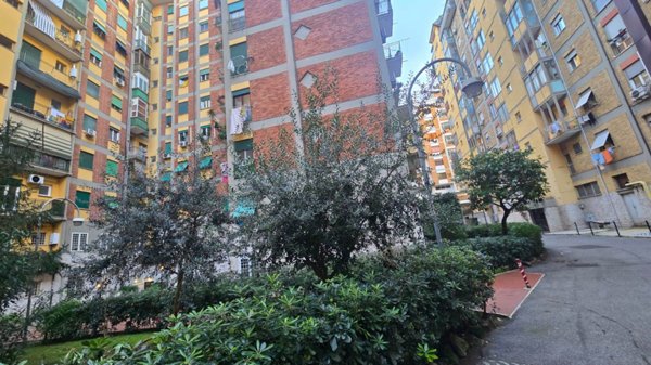 appartamento in affitto a Roma in zona Pietralata