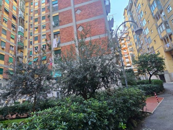 appartamento in affitto a Roma in zona Pietralata