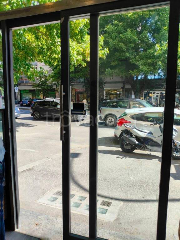 casa indipendente in affitto a Roma in zona Trieste