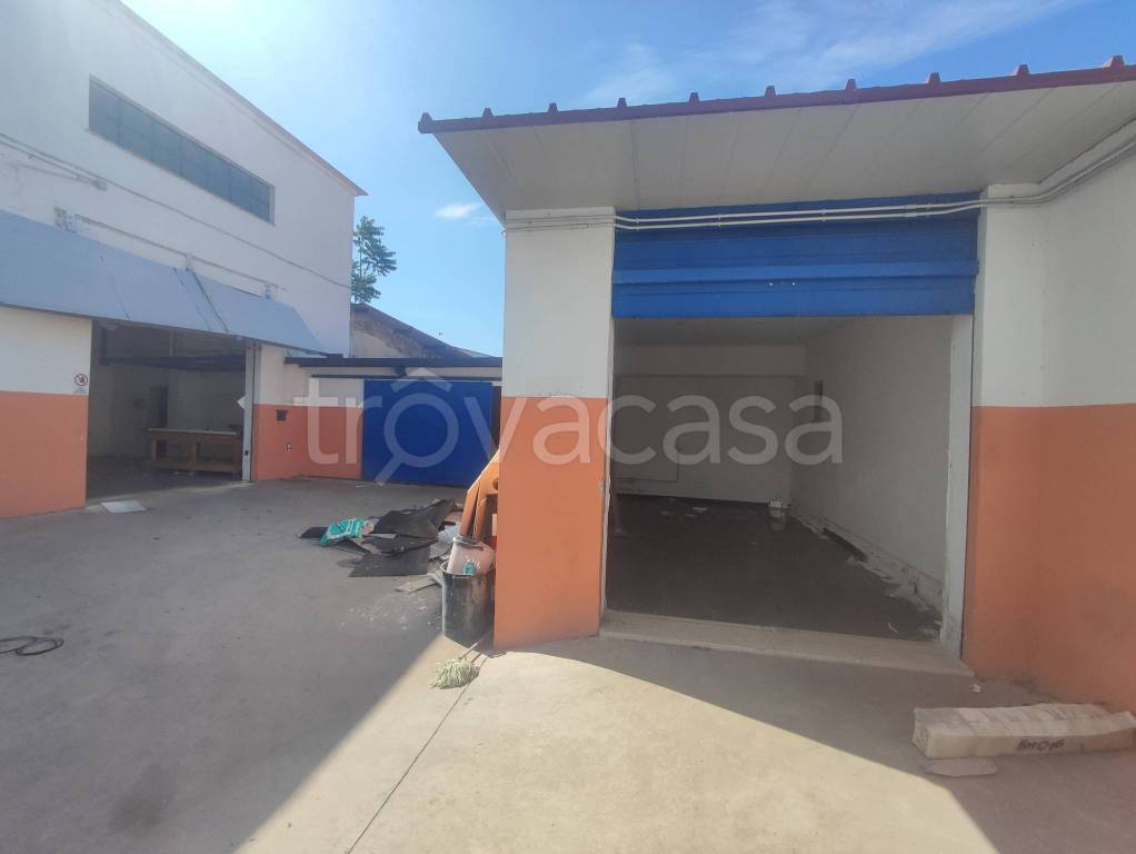 negozio in affitto a Roma in zona Tor Cervara