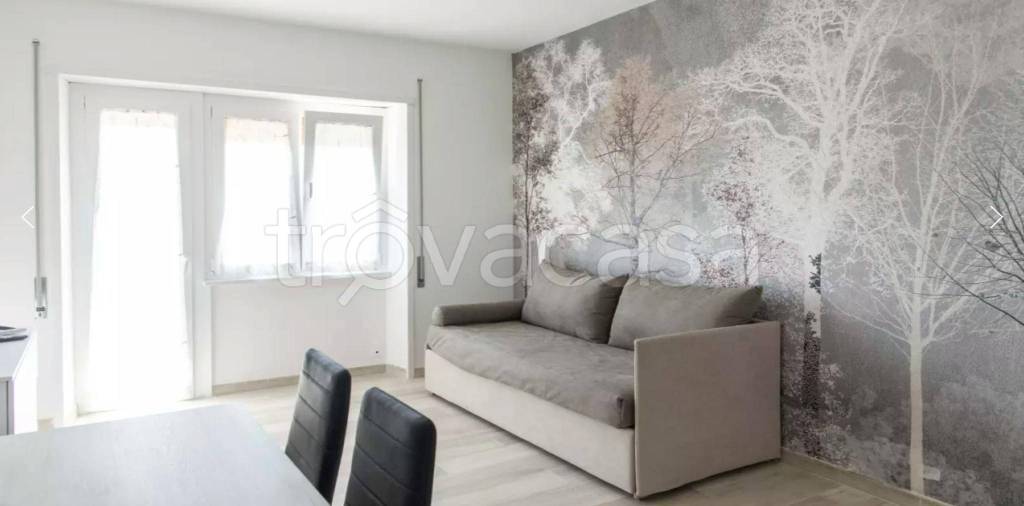 appartamento in affitto a Roma in zona Cinecittà