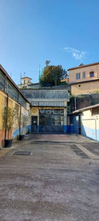negozio in affitto a Roma in zona Pietralata