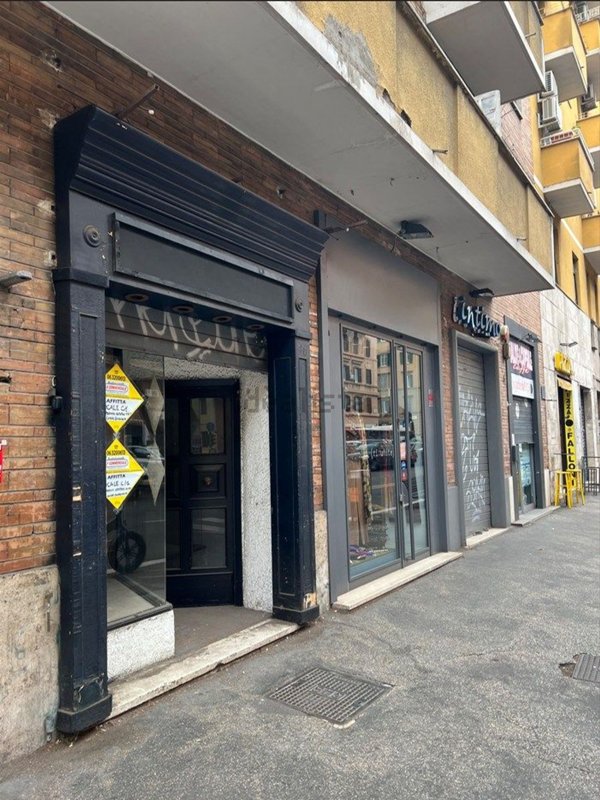 casa indipendente in affitto a Roma in zona Trieste