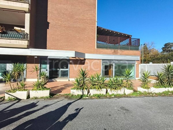 negozio in affitto a Roma in zona Trionfale