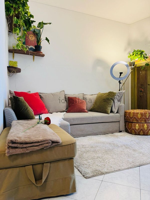 appartamento in affitto a Roma in zona Flaminio