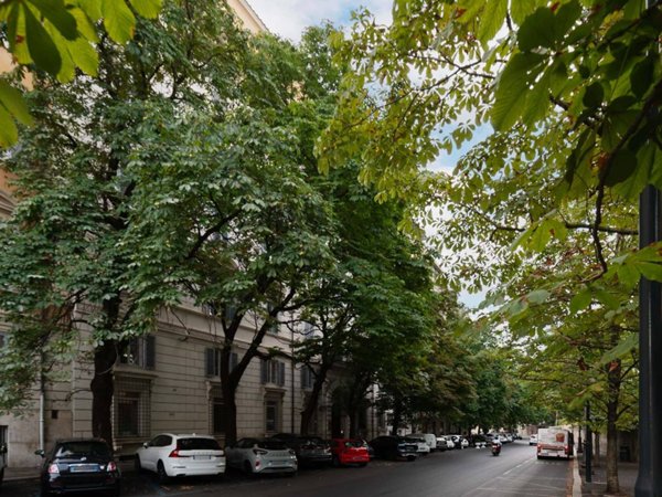 appartamento in affitto a Roma in zona Pinciano