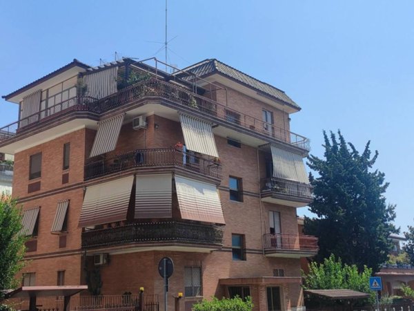 appartamento in affitto a Roma in zona Primavalle