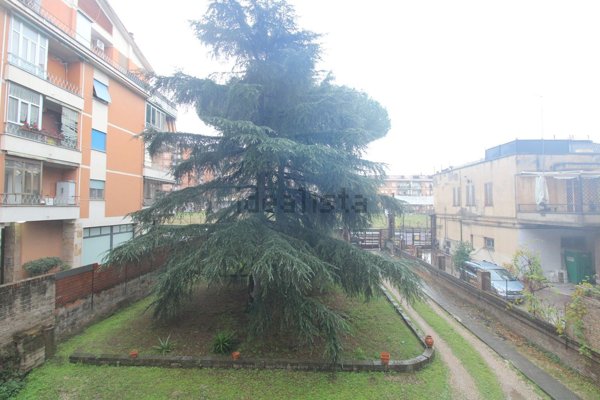 appartamento in affitto a Roma in zona Alessandrino
