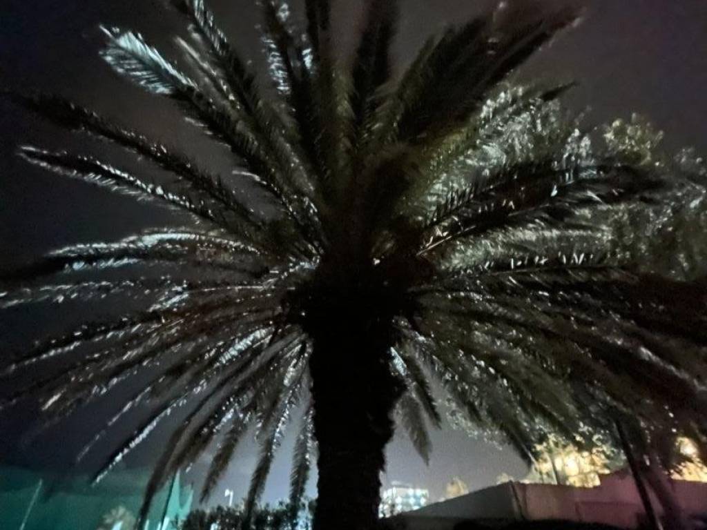 negozio in affitto a Roma