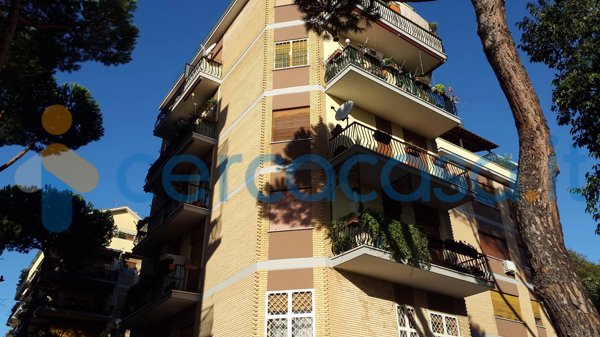 appartamento in affitto a Roma in zona Salario