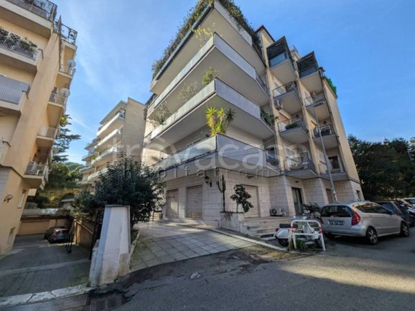 appartamento in affitto a Roma in zona Della Vittoria