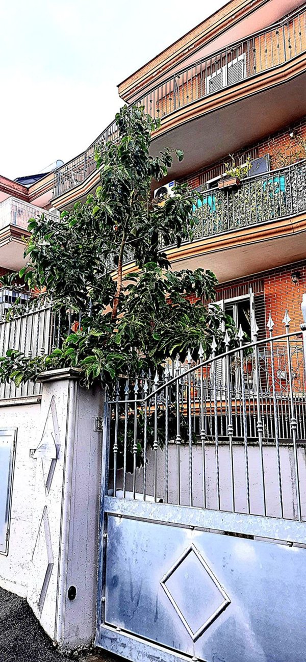 appartamento in affitto a Roma in zona Ottavia