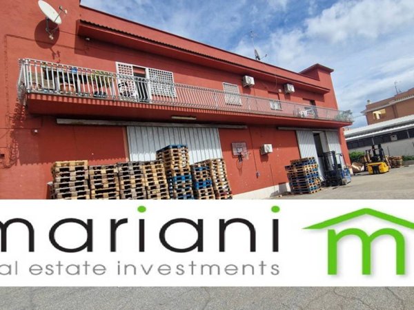 locale commerciale in affitto a Roma in zona Tor Vergata/Torrenova