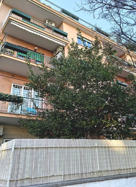 appartamento in affitto a Roma in zona Gianicolense