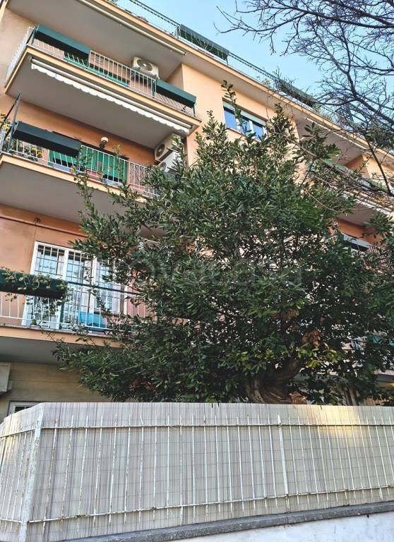 appartamento in affitto a Roma in zona Gianicolense