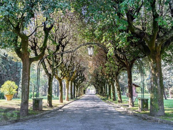 appartamento in affitto a Roma in zona Della Vittoria
