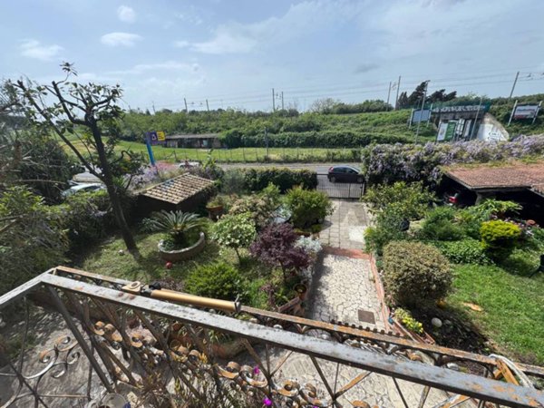 appartamento in affitto a Roma in zona Trionfale