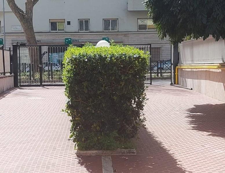 appartamento in affitto a Roma in zona Della Vittoria