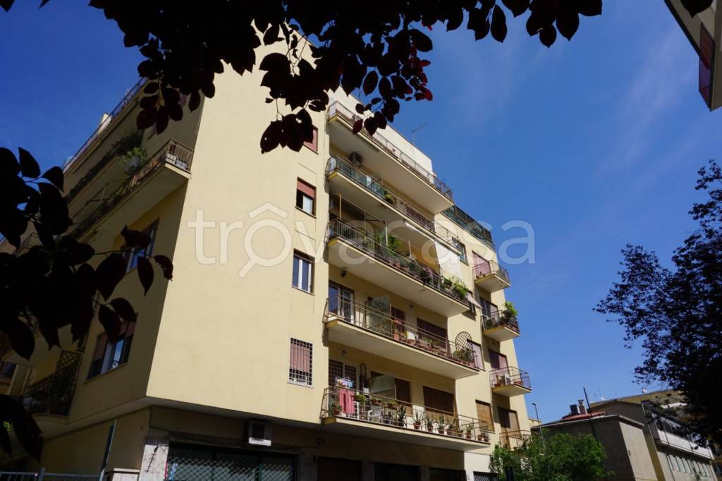 appartamento in affitto a Roma in zona Monte Sacro/Talenti