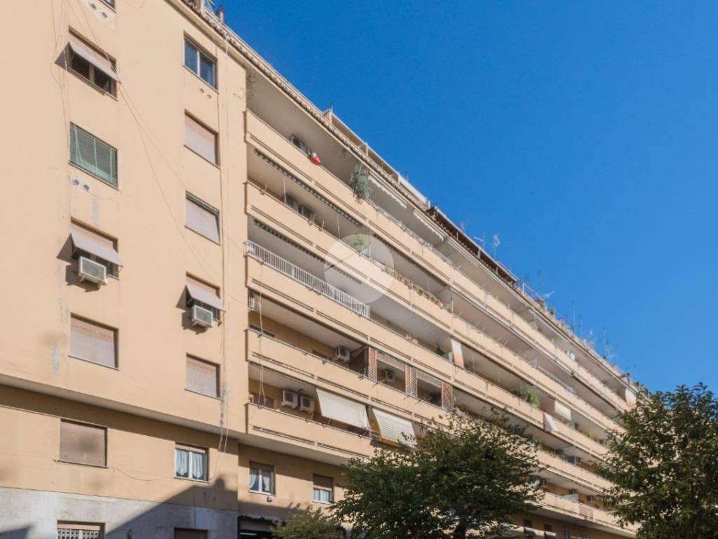appartamento in affitto a Roma in zona Trieste