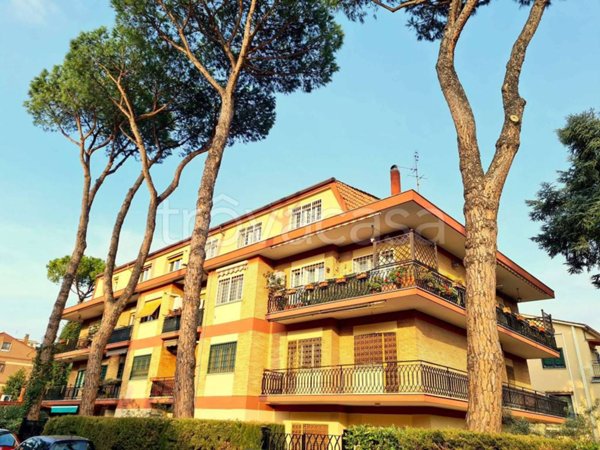 appartamento in affitto a Roma in zona Appio Pignatelli