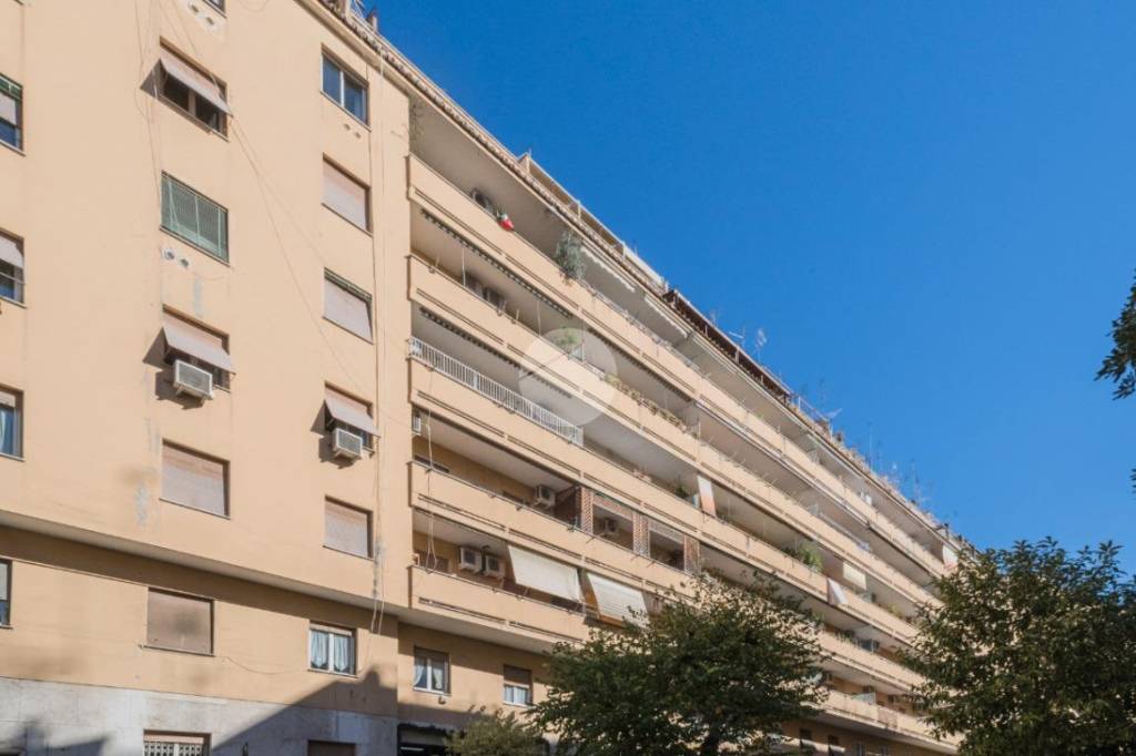 appartamento in affitto a Roma in zona Trieste