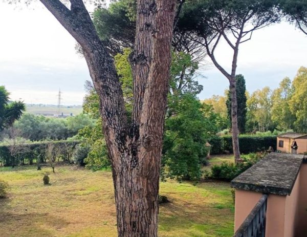 casa indipendente in affitto a Roma in zona Castel di Leva