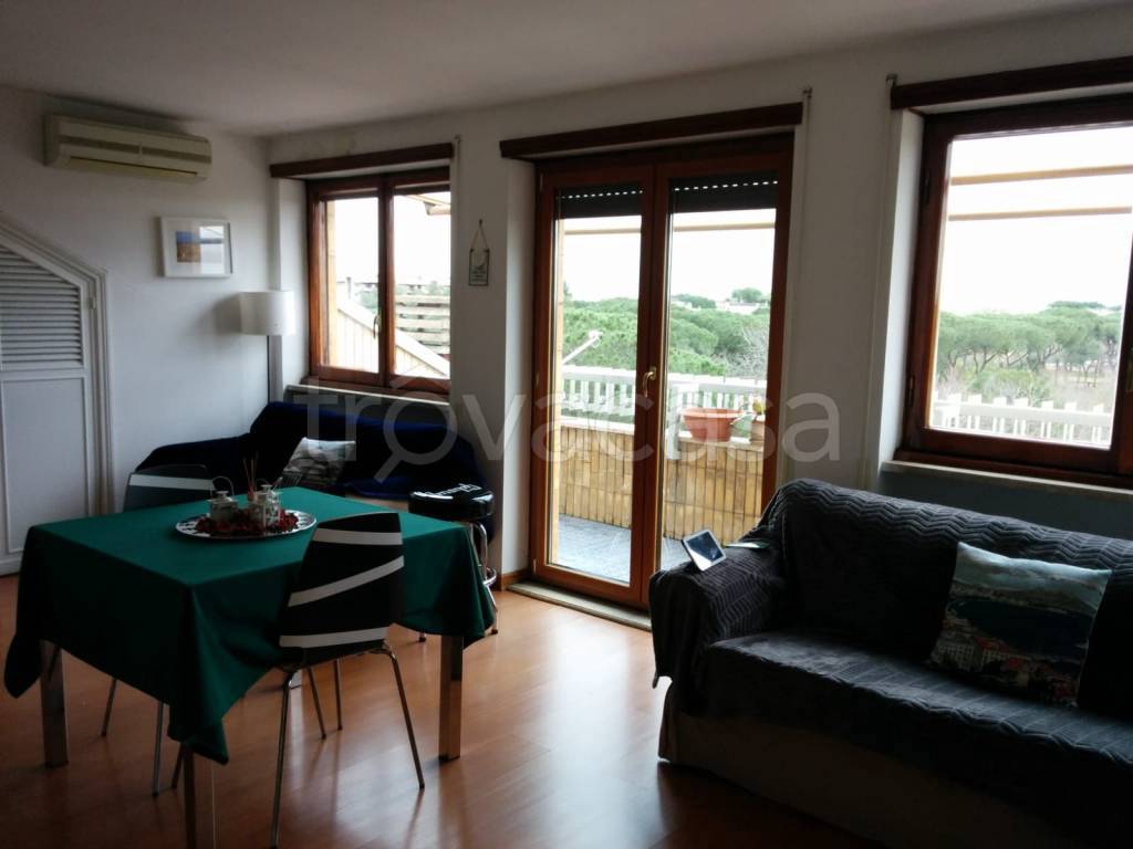 appartamento in affitto a Roma in zona Monte Sacro/Talenti