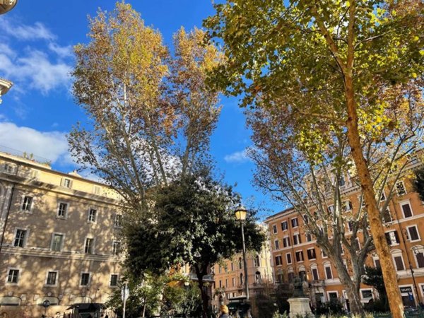 appartamento in affitto a Roma in zona Parione/Sant'Eustachio