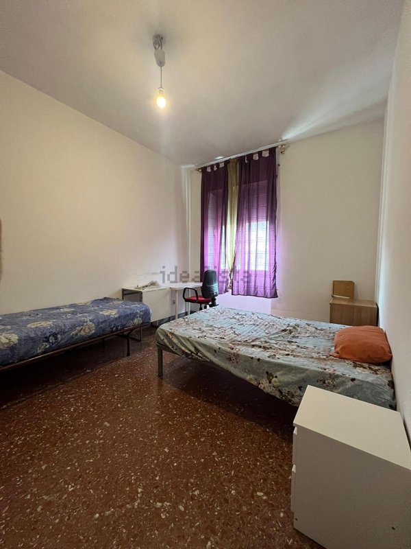 appartamento in affitto a Roma in zona Monte Sacro/Talenti