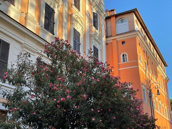 appartamento in affitto a Roma in zona Rione Monti/Campitelli