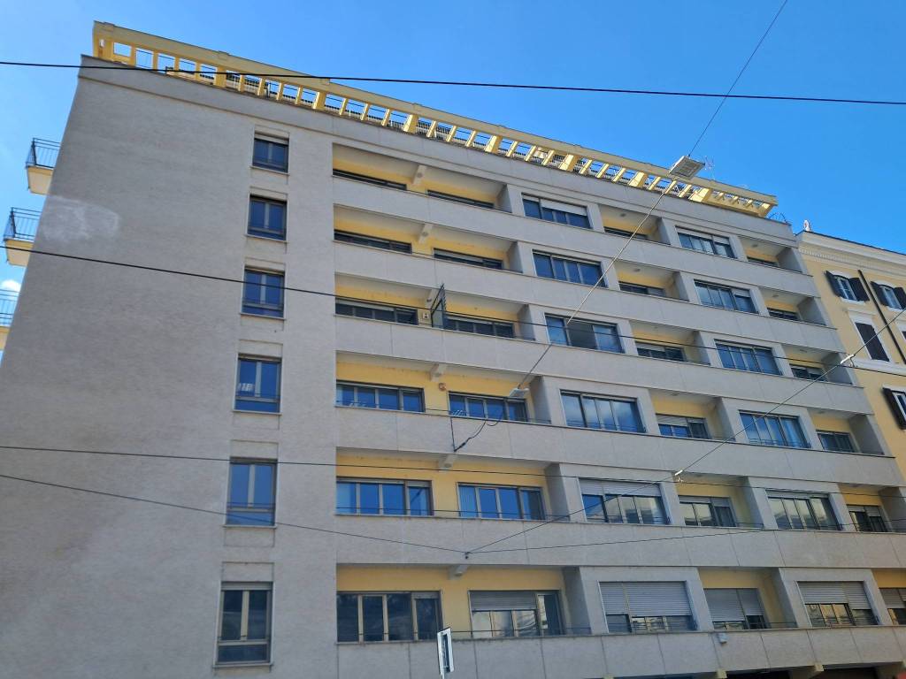 negozio in affitto a Roma in zona Flaminio