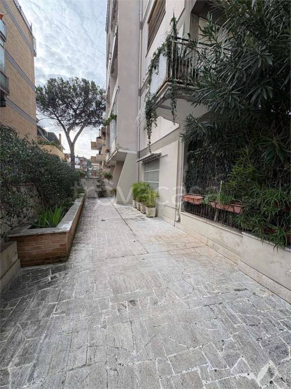 appartamento in affitto a Roma in zona Della Vittoria