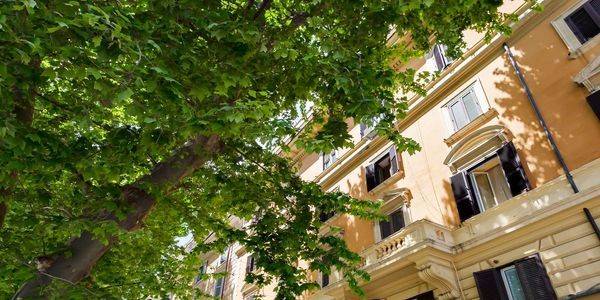 appartamento in affitto a Roma in zona Rione Prati