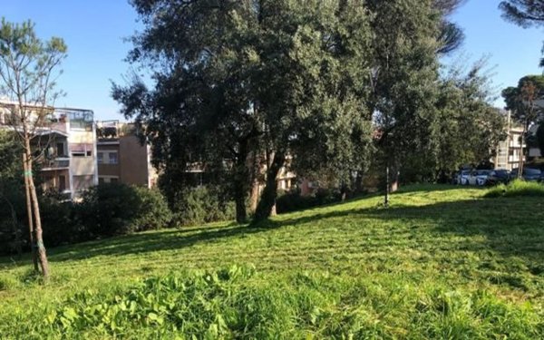 appartamento in affitto a Roma in zona Parioli