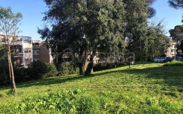 appartamento in affitto a Roma in zona Parioli