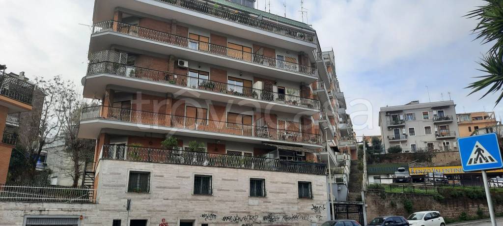 appartamento in affitto a Roma in zona Primavalle