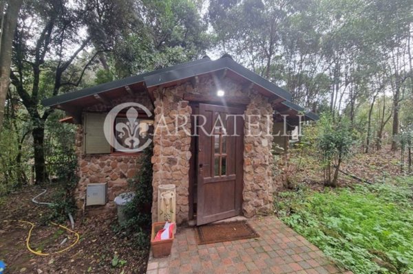 casa indipendente in affitto a Roma in zona Flaminio