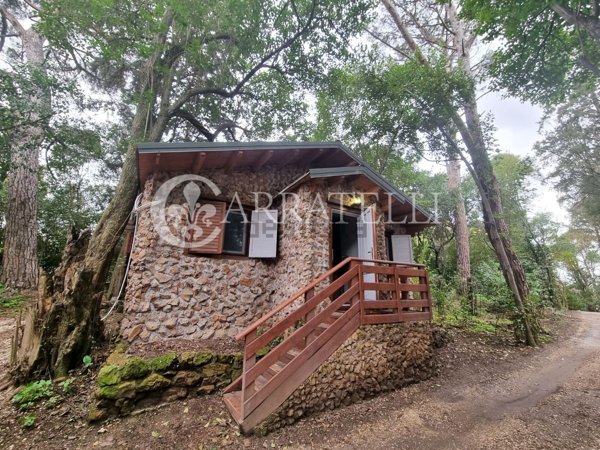 appartamento in affitto a Roma in zona Tomba di Nerone