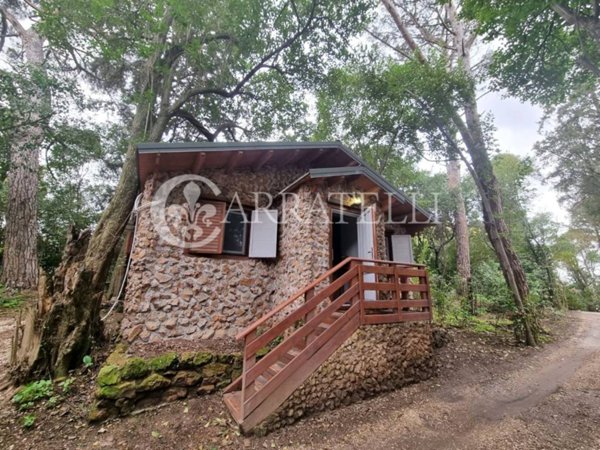casa indipendente in affitto a Roma in zona Flaminio