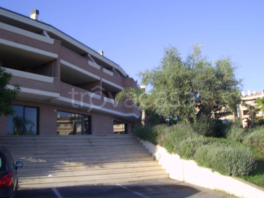 appartamento in affitto a Roma in zona Giuliano Dalmata